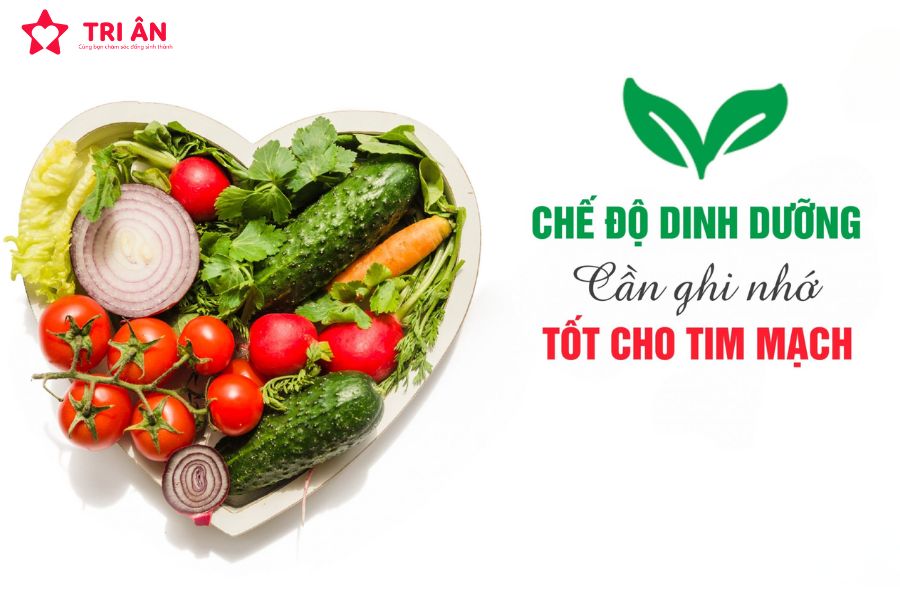 Thực Phẩm Tốt Cho Tim Mạch – Bí Quyết Sống Khỏe Mỗi Ngày