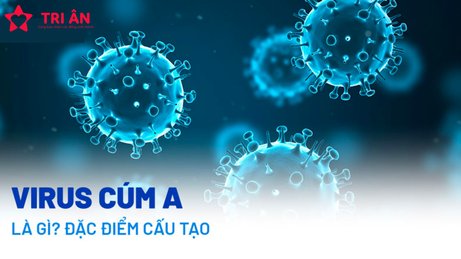 Bệnh cúm A ở người cao tuổi và cách phòng ngừa